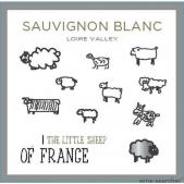 Little Sheep -  Sauvignon Blanc 2024