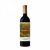 Ravasqueira - Encantado 2021