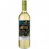 Astica - Sauvignon Blanc 2024