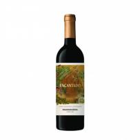 Ravasqueira - Encantado 2021