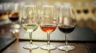 Ilaria Imports Wine Tasting